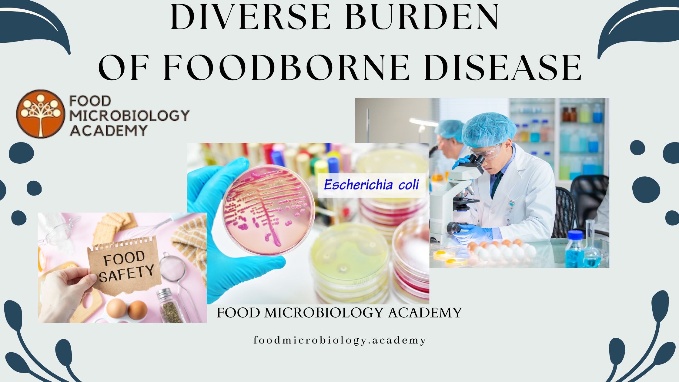 Diverse burden of foodborne disease