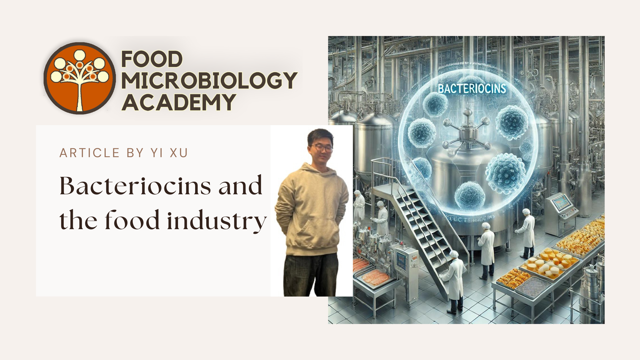 Role of bacteriocins in the food industry: What good do they do?
