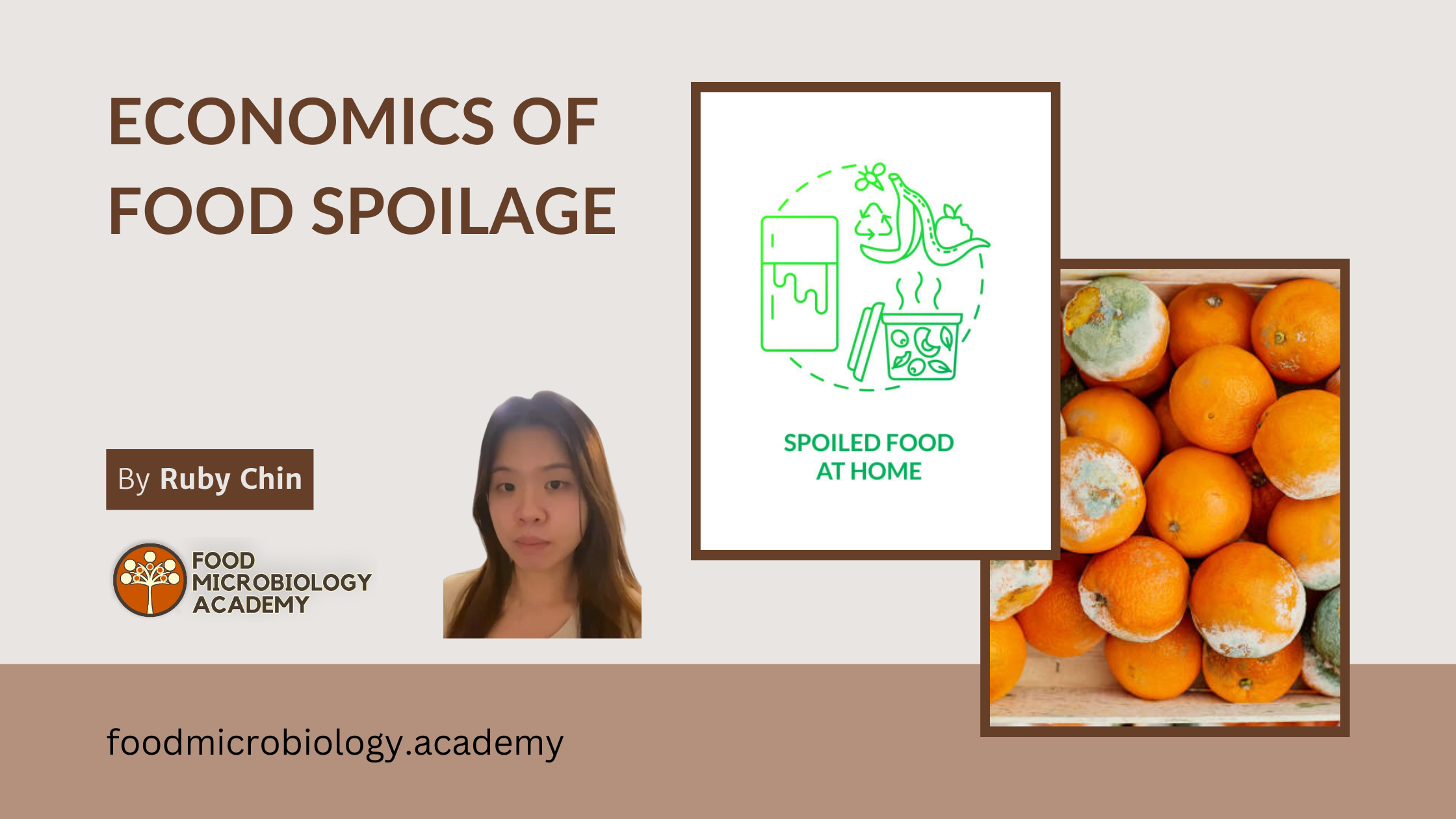 A rising economic issue – Microbial food spoilage