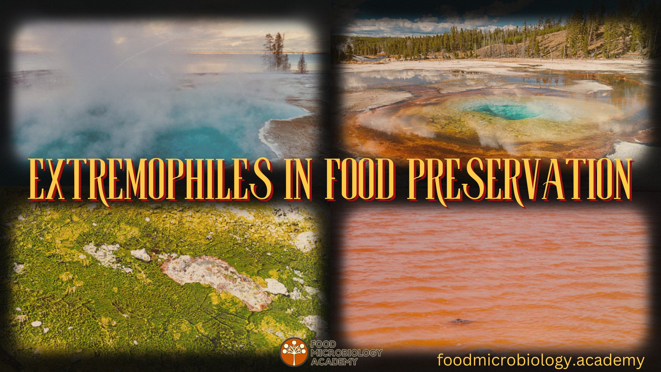 Extremophiles: Nature’s solution to extending food and beverage shelf life