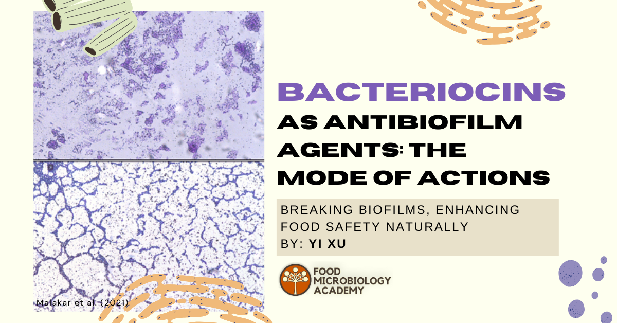 Bacteriocins as Antibiofilm Agents: The Mode of Actions
