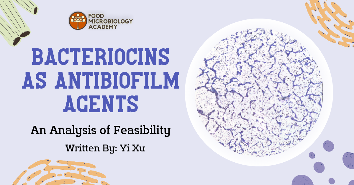 Bacteriocins as Antibiofilm Agents: An Analysis of Feasibility