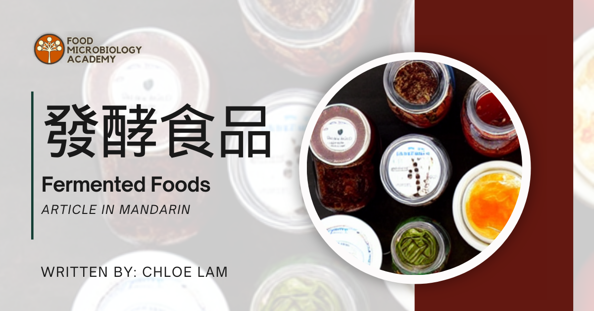 發酵食品