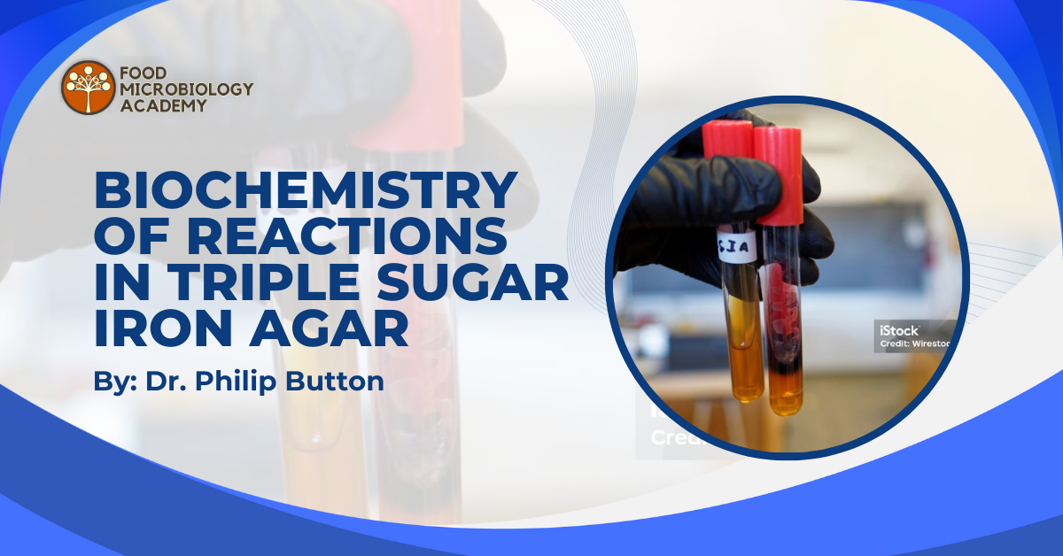 Biochemistry of Reactions in Triple Sugar Iron Agar