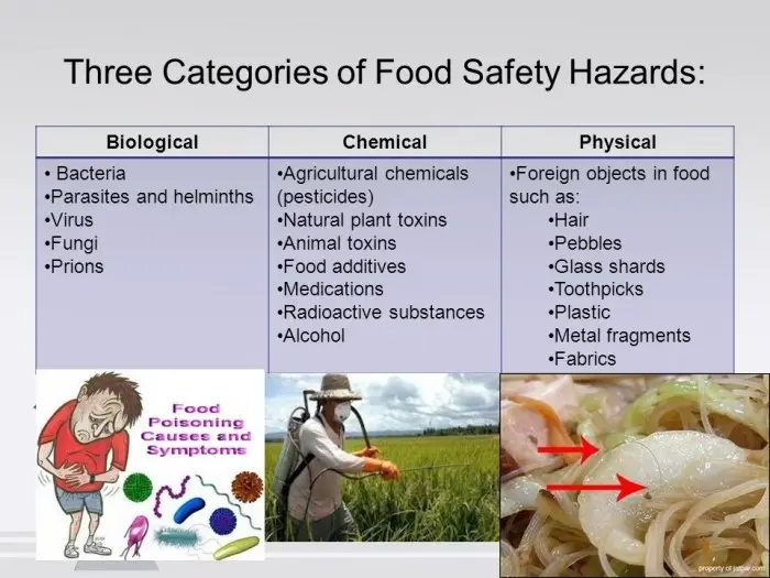 Three types of food safety hazards.