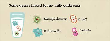 Raw Milk | Raw Milk | Food Safety | CDC