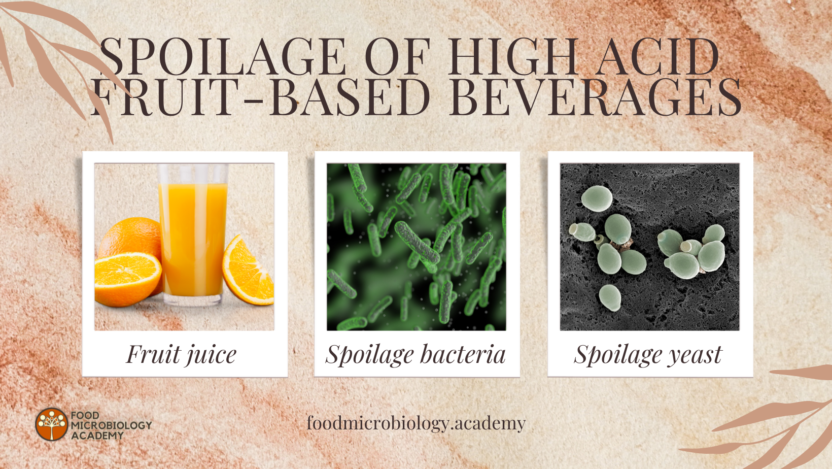 Spoilage of high acid fruit-based beverages